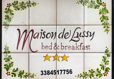 Bed And Breakfast Maison De Lussy